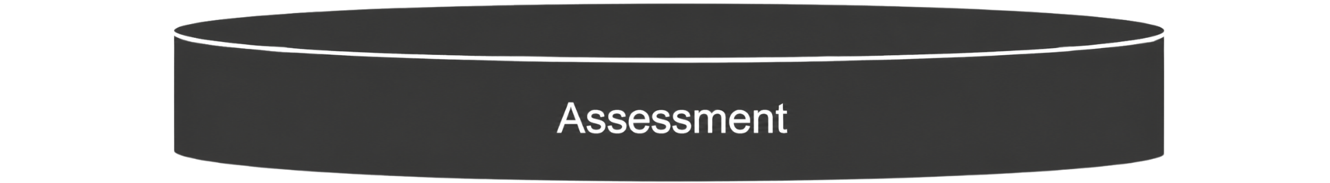 A mid-sized horizontal oval labeled “Assessment,” positioned below Filtering with a downward arrow