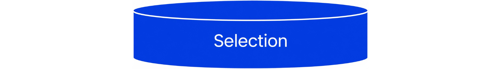 A bright blue horizontal oval at the bottom labeled “Selection,” connected by a downward arrow