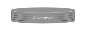 A mid-sized horizontal oval labeled “Assessment,” positioned below Filtering with a downward arrow