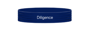 A darker-colored horizontal oval labeled “Diligence,” below Assessment with a downward arrow
