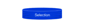 A bright blue horizontal oval at the bottom labeled “Selection,” connected by a downward arrow